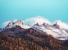 辛纳2-0米克尔森晋级迈阿密大师赛8强